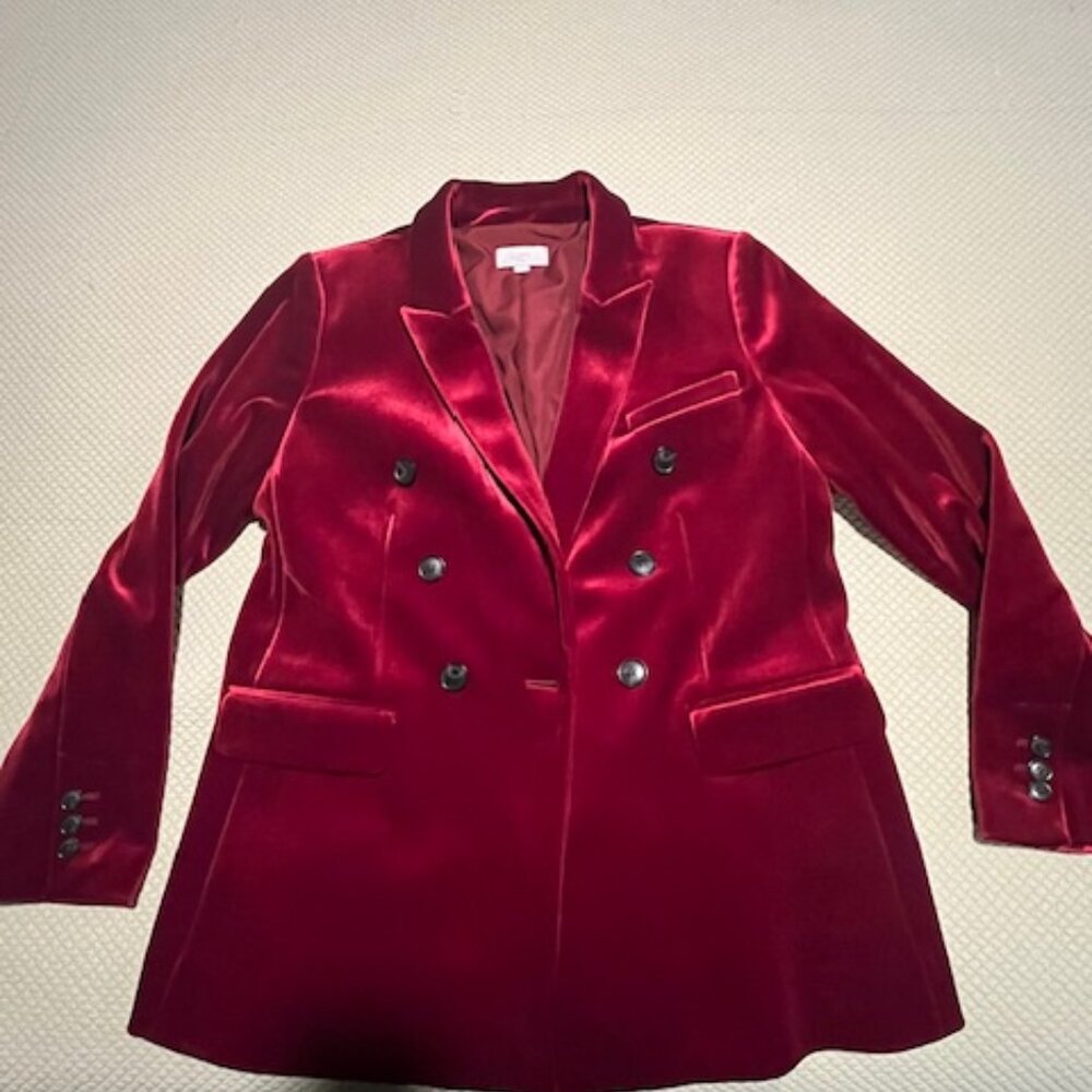 Velvet Double Breasted Blazer